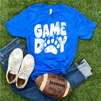 Distressed Game Day Panthers/Bears Stacked Grunge DTF Print