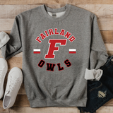 Fairland Owls Circle Team DTF Print