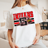 Grunge Indians DTF Print