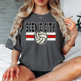 Scenic City Volleyball Grunge DTF Print