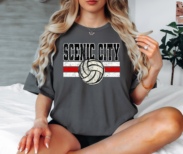 Scenic City Volleyball Grunge DTF Print