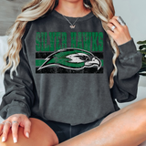 Grunge Silver Hawks DTF Print
