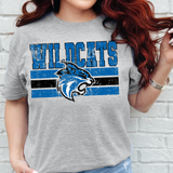 Grunge Wildcats AC DTF Print
