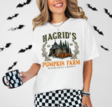 Hagrids Pumpkin Farm DTF Print