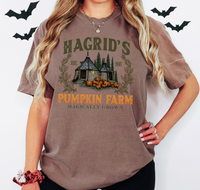 Hagrids Pumpkin Farm DTF Print