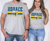 Grunge Horace Hornets DTF Print