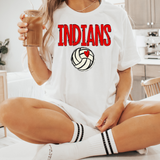 Indians Volleyball DTF Print