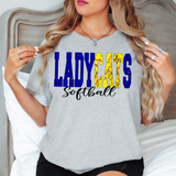 Lady Cats Sport Grunge DTF Print