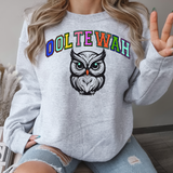 Rainbow Ooltewah Owls DTF Print