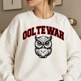 Rainbow Ooltewah Owls DTF Print
