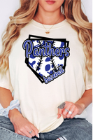 Panthers Baseball DTF Print