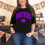 Panthers Football Arch Distressed DTF Print