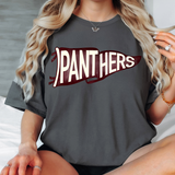 Panthers Watercolor Pennant DTF Print
