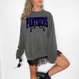 Panthers Team Arch with Bow DTF Print