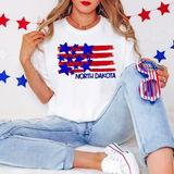 North Dakota Plain Flag with Stars and Stripes DTF Print