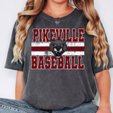 Pikeville Panthers Baesball Grunge DTF Print