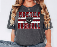 Pikeville Panthers Baesball Grunge DTF Print