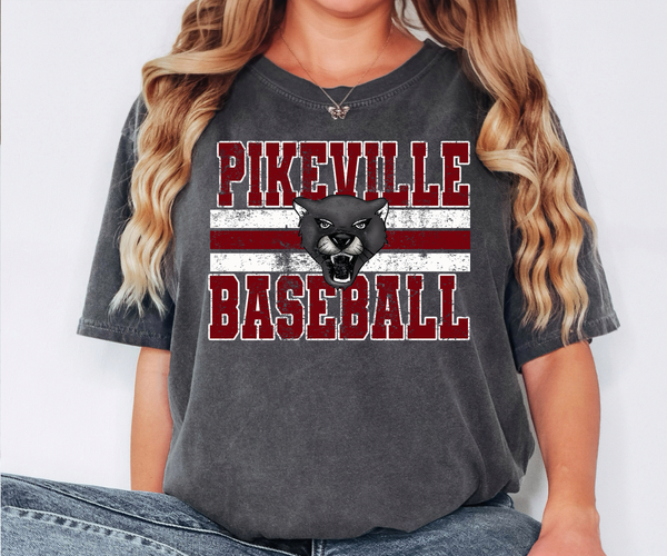 Pikeville Panthers Baesball Grunge DTF Print