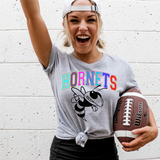 Rainbow Hornets Black Outline DTF Print