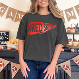 Redskins Watercolor Pennant DTF Print