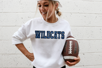 Sequin Effect Wildcats DTF Print