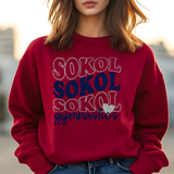 Sokol Gymnastics Retro Glitter Effect DTF Print