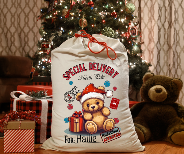 Personalized Teddy Bear Santa Sack DTF Print