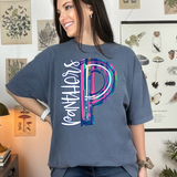 Paint Splatter Panthers DTF