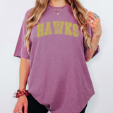 Hawks Distressed Arch DTF Print