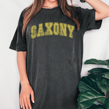 Saxony Distressed Arch DTF Print