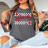 Squirrels Checker Star DTF Print