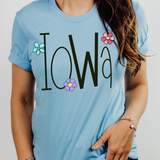Iowa Straight and Narrow DTF Print