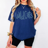 Straight and Narrow Wildcats DTF Print