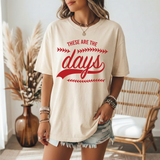 These Are The Days Baseball Stitches DTF Print
