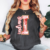 Toile Indians DTF Print