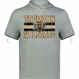Trumannn Wildcats Grunge DTF Print