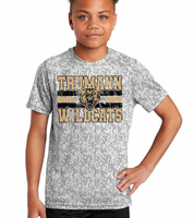 Trumannn Wildcats Grunge DTF Print