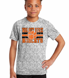 Walnut Ridge Bobcats Grunge DTF Print