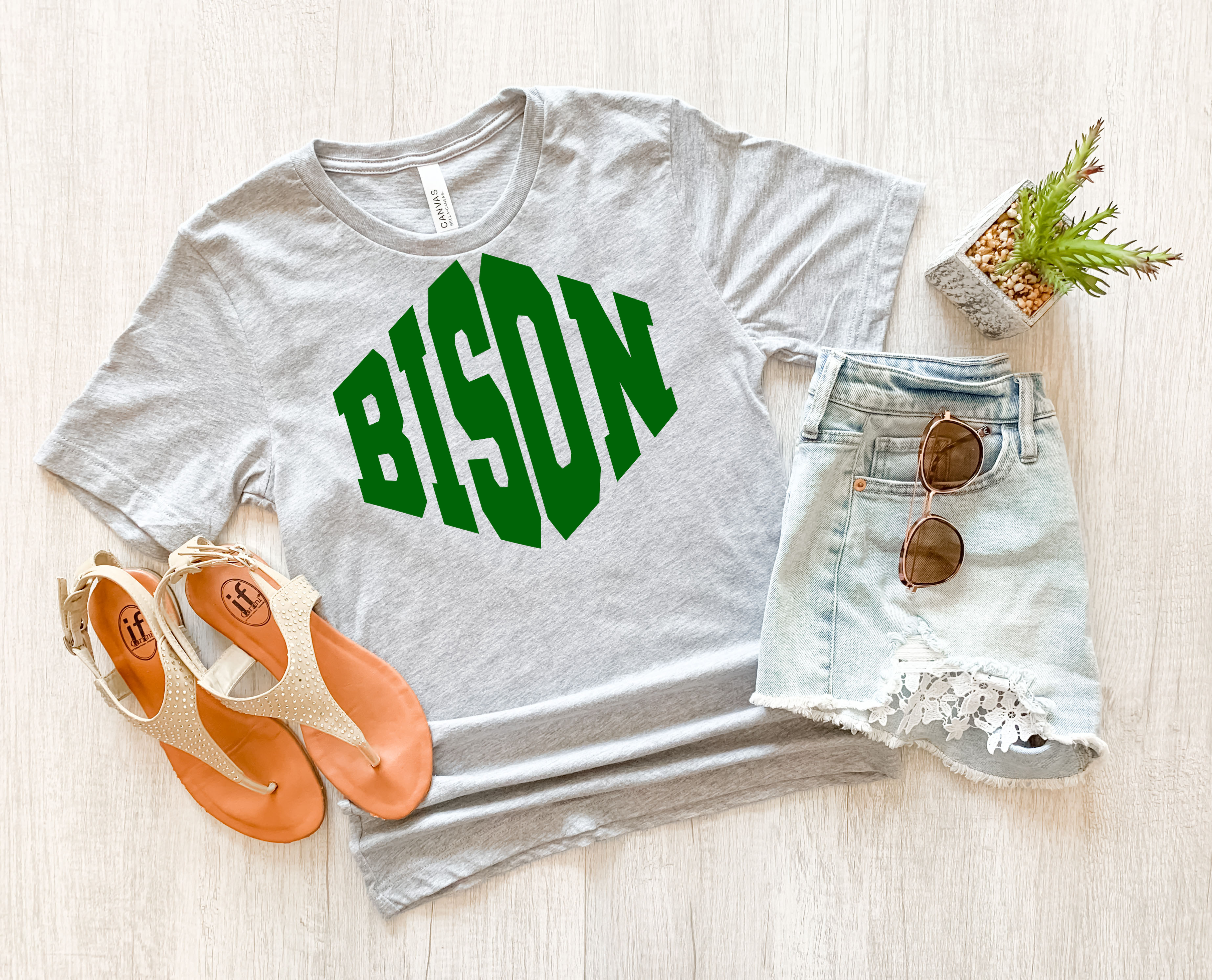 Bison Warped Two Color Game Day DTF Print