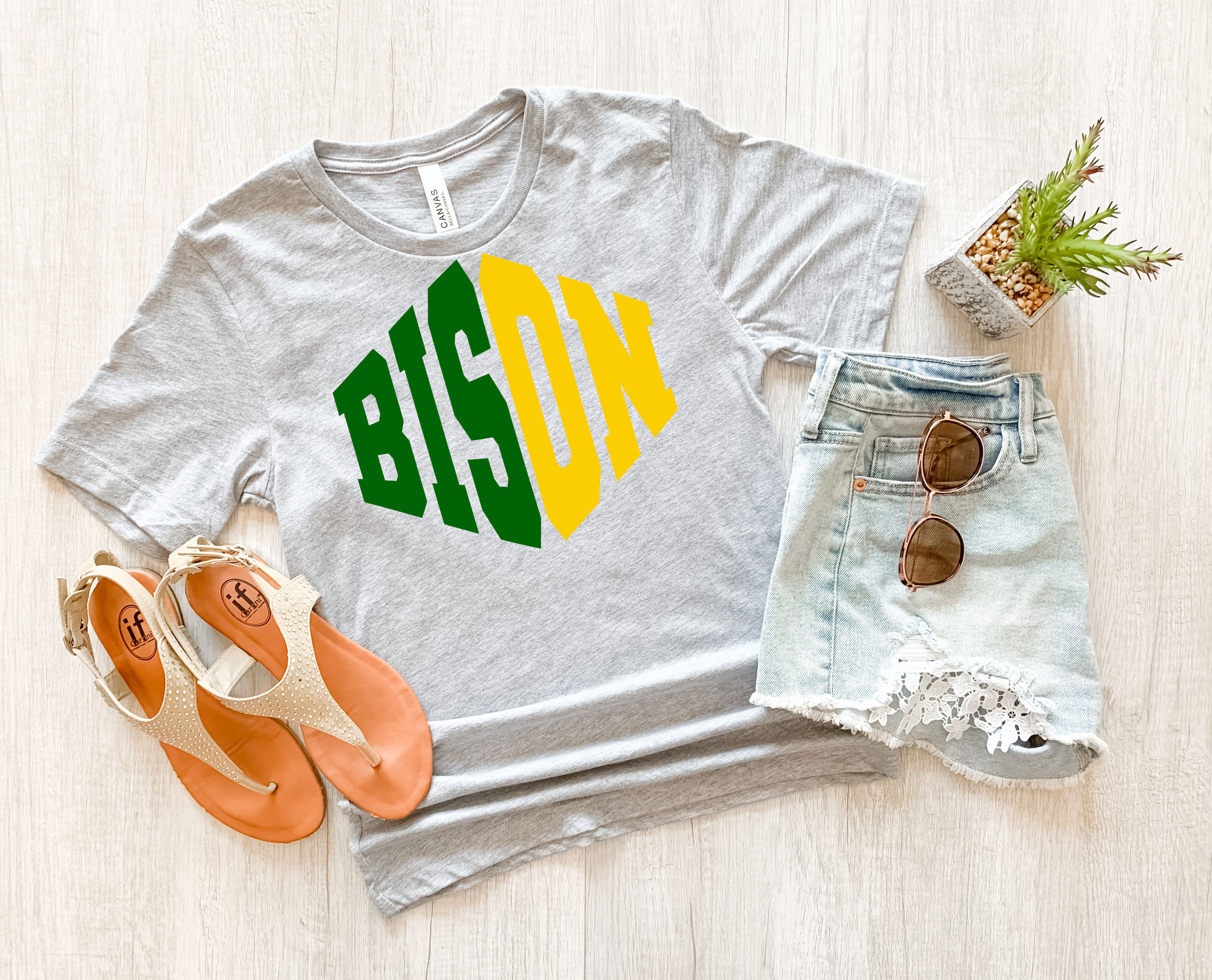 Bison Warped Two Color Game Day DTF Print