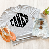 Canes Warped Two Color Game Day DTF Print