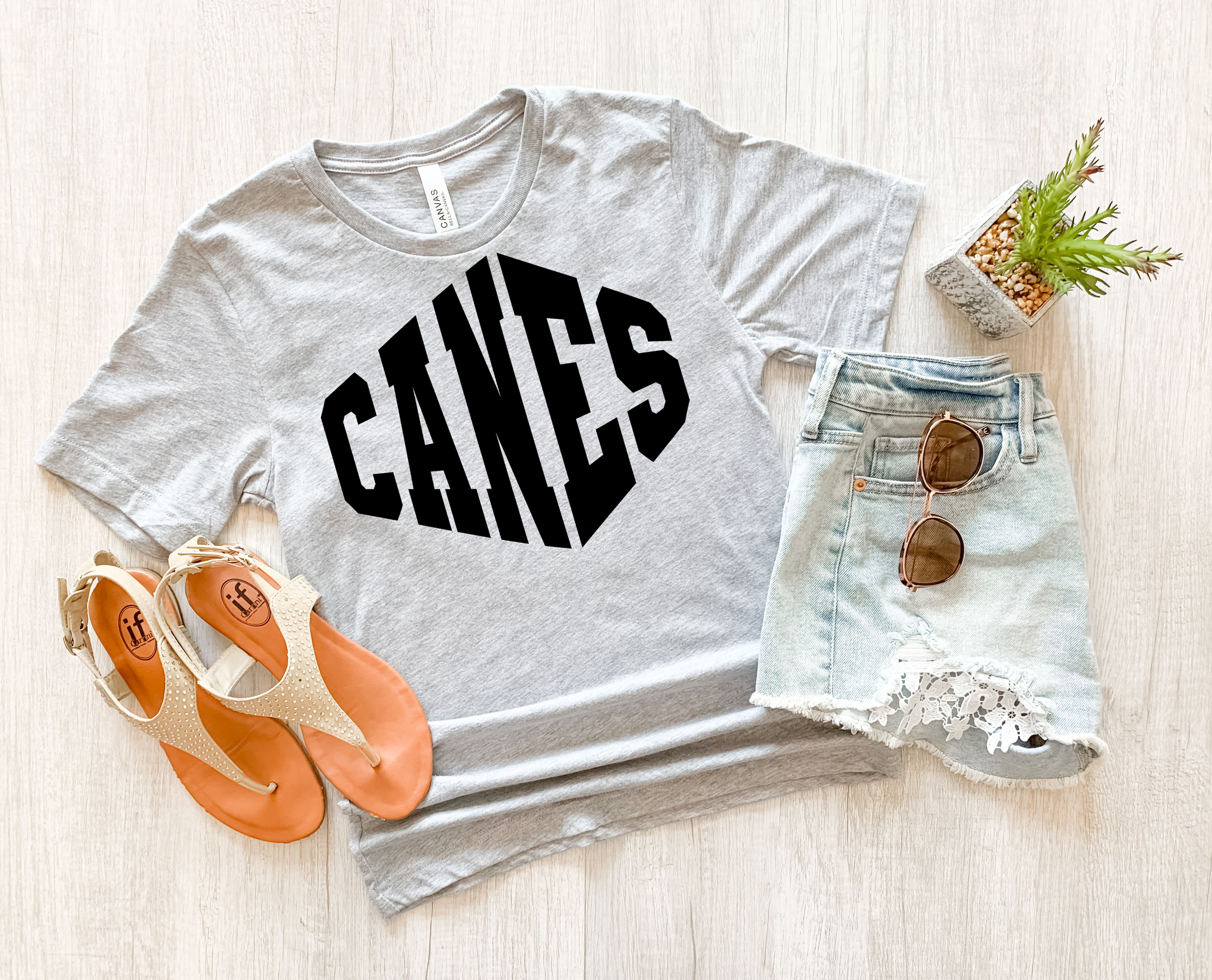 Canes Warped Two Color Game Day DTF Print