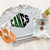 Canes Warped Two Color Game Day DTF Print