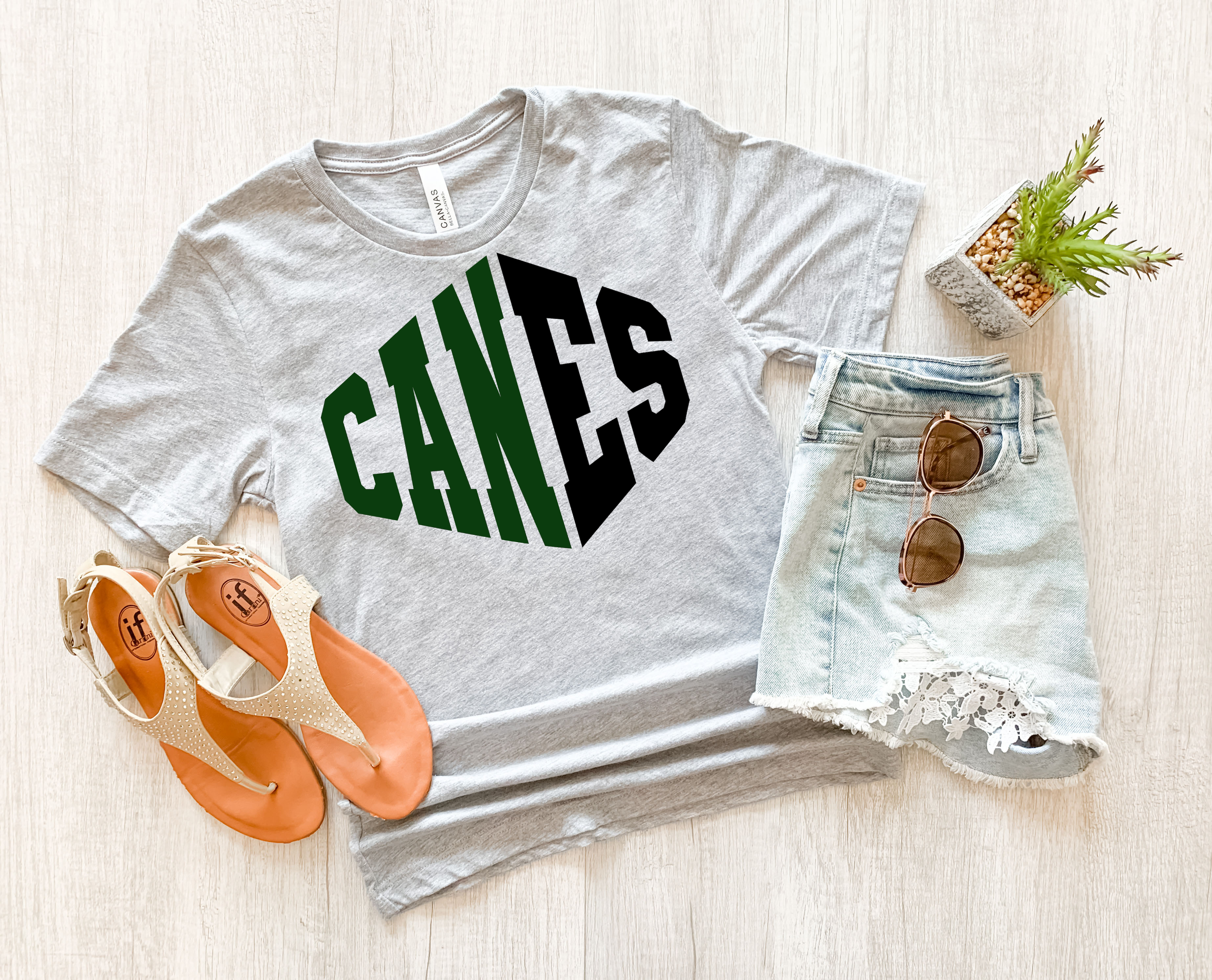 Canes Warped Two Color Game Day DTF Print