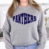 Panthers Warped Two Color Game Day DTF Print