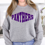 Panthers Warped Two Color Game Day DTF Print