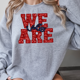 We Are Vols Sequin Effect DTF Print