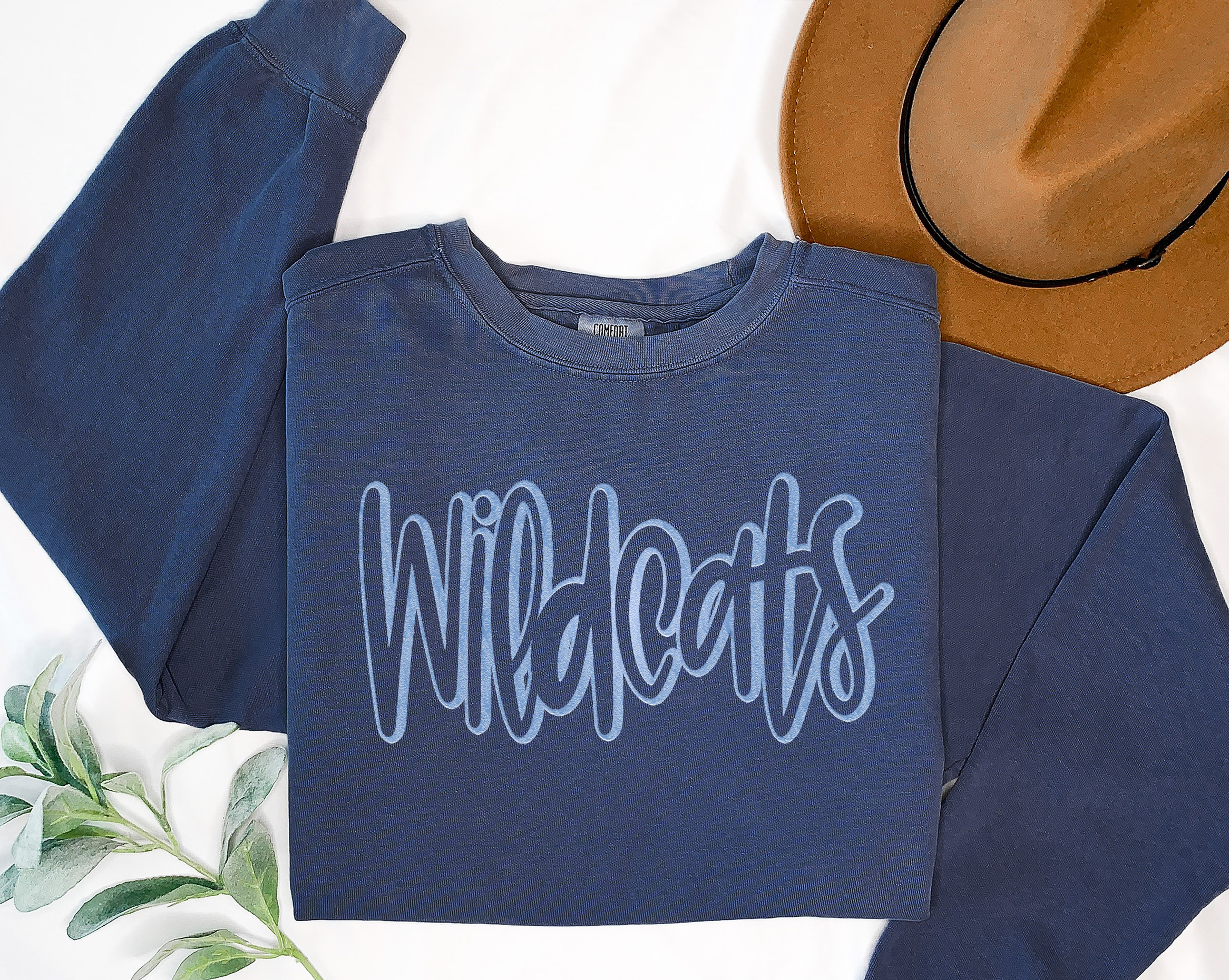 Wildcats Whisper DTF Print