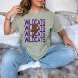 Wildcats Baseball Bolt DTF Print