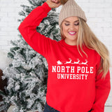 North Pole University Santa Sleigh DTF Print